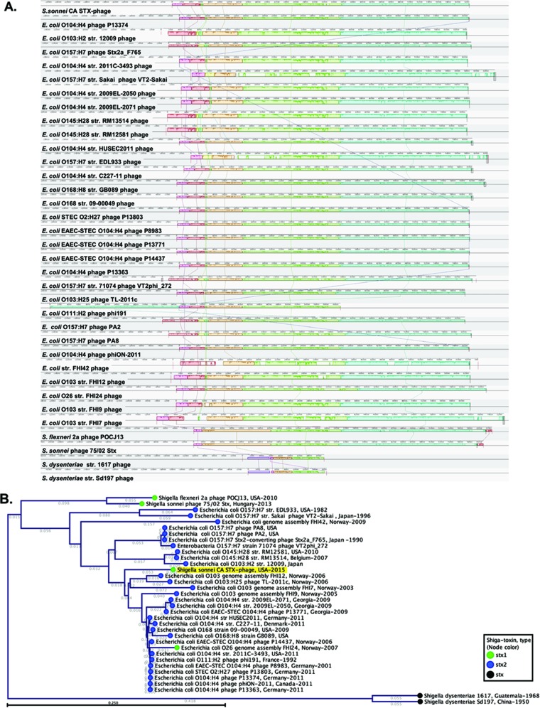 FIG 4 