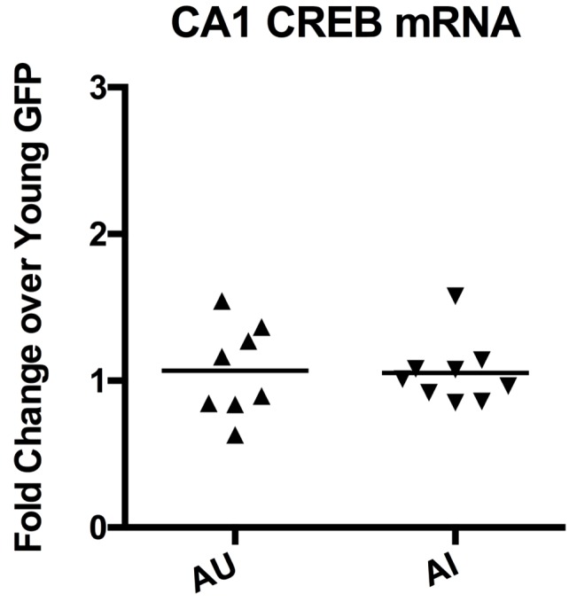 Figure 3—figure supplement 1.