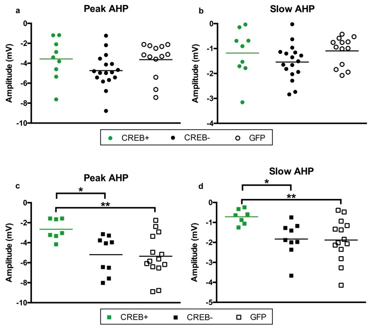 Figure 3—figure supplement 3.