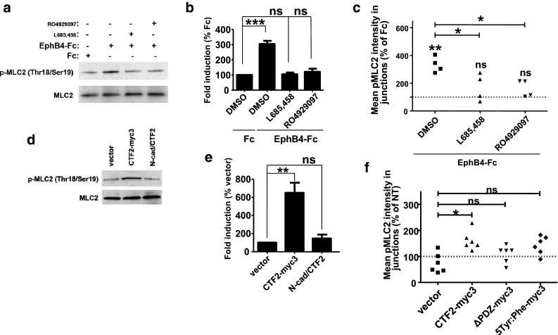 Fig. 7