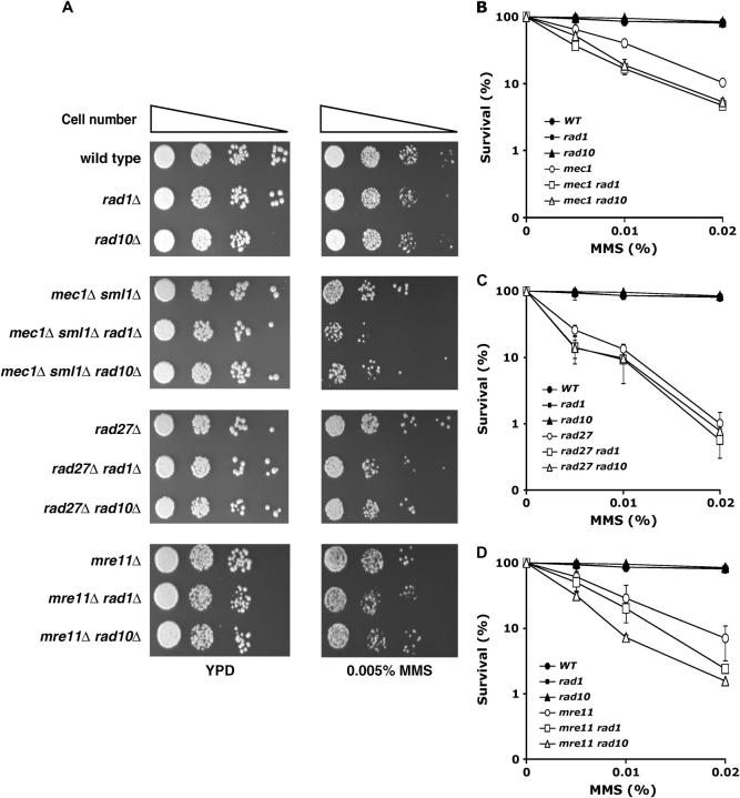 Figure 2.—