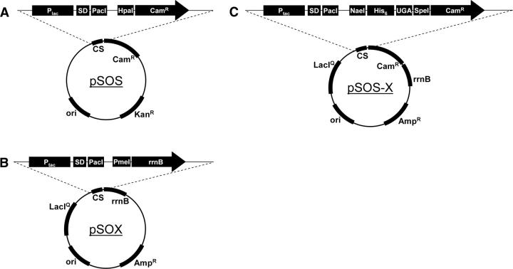 Figure 7.