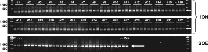 Figure 6.