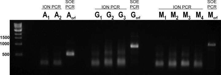 Figure 3.