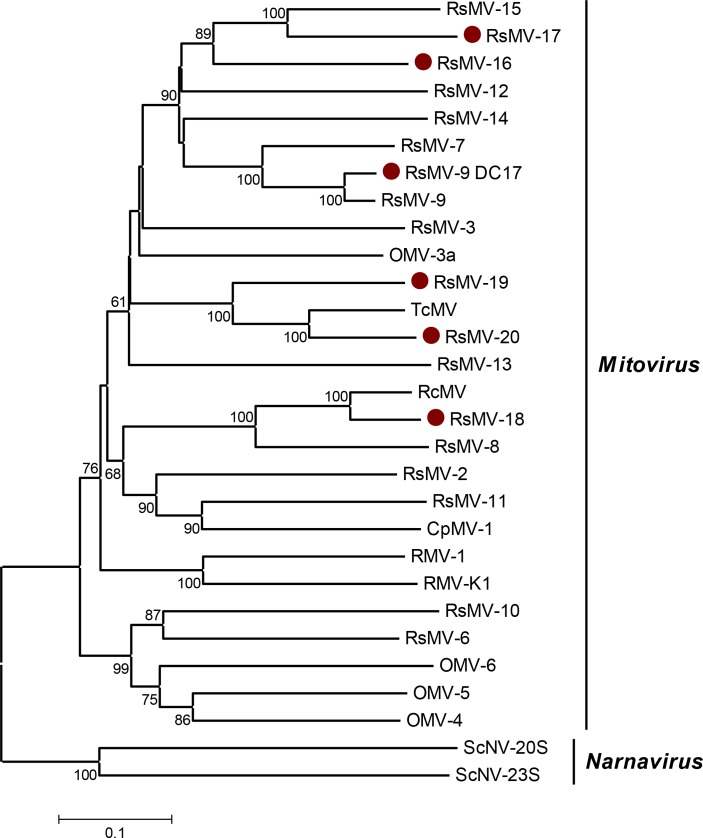 Fig 3