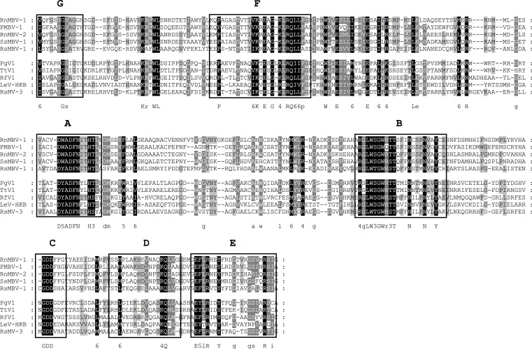 Fig 12