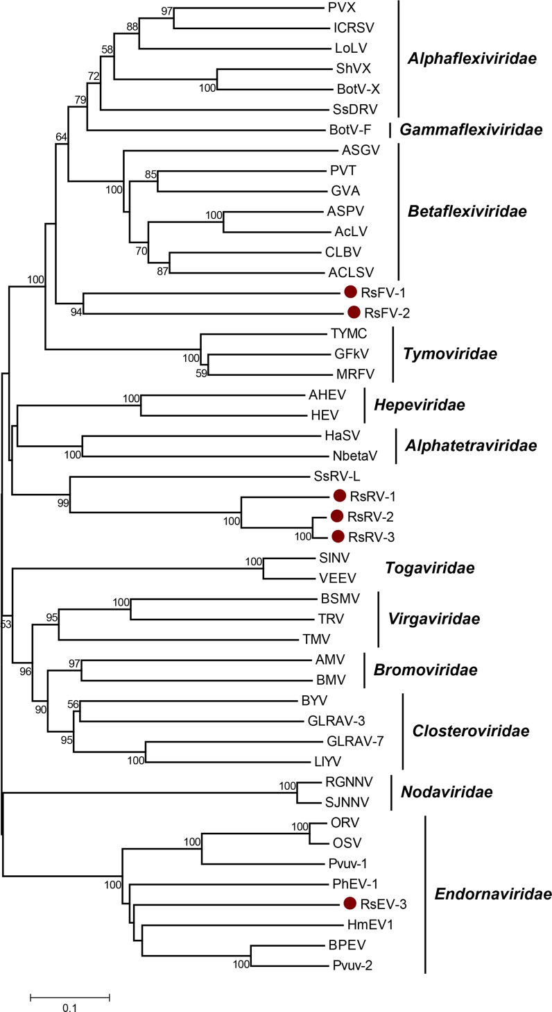 Fig 6