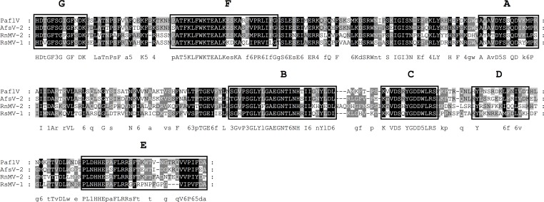 Fig 10