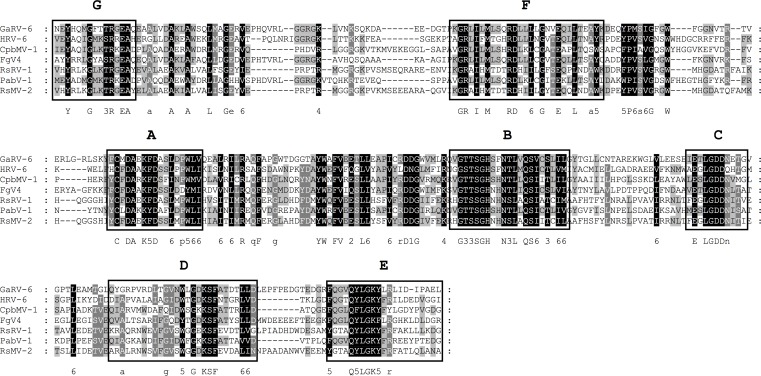 Fig 11