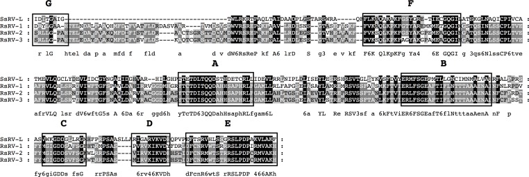 Fig 7