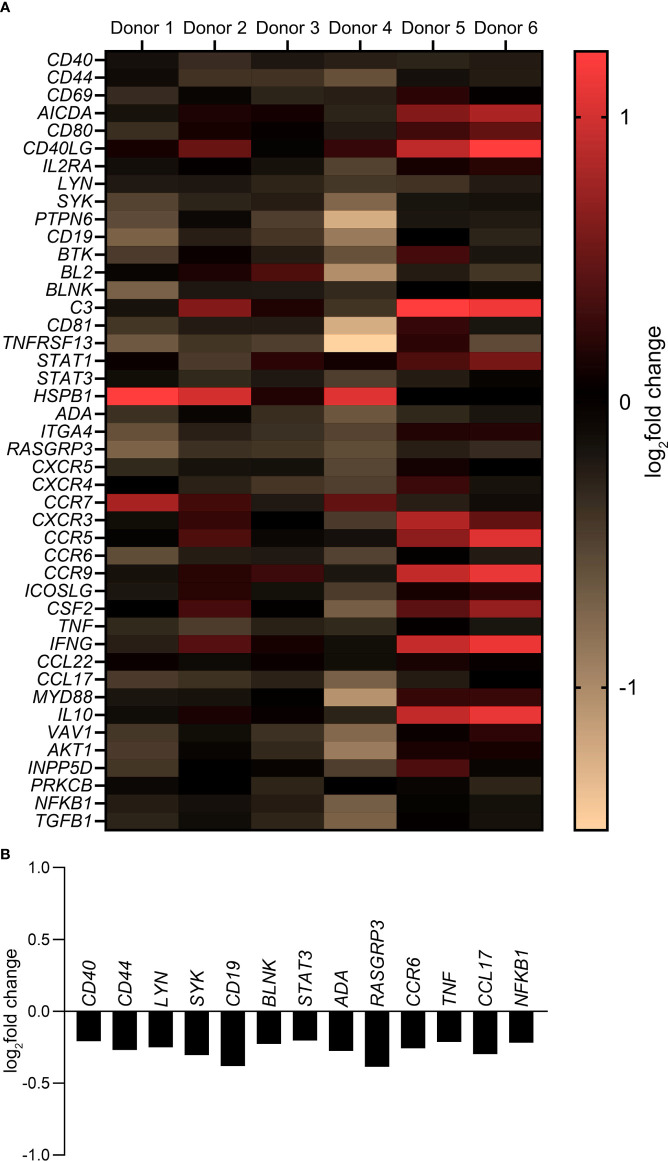 Figure 5