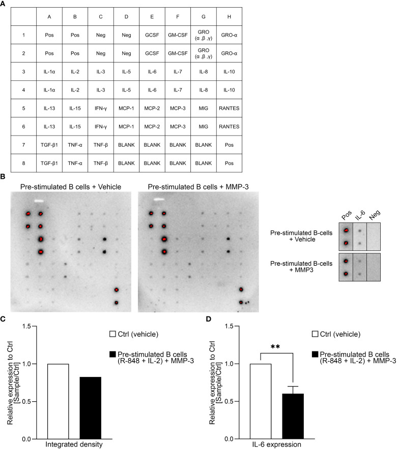 Figure 4