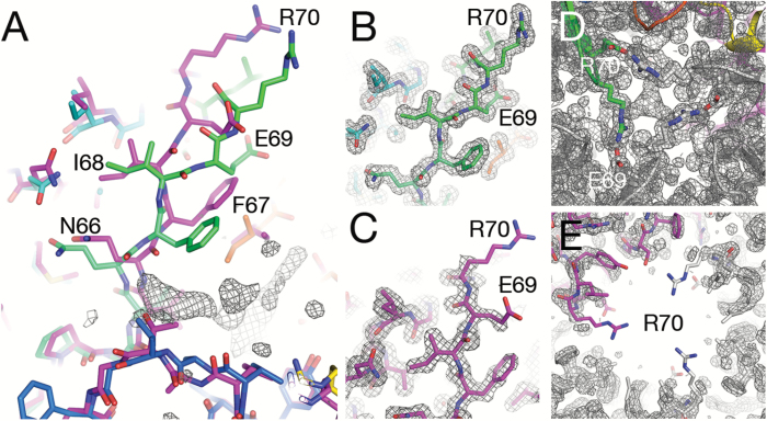 Fig. 2.