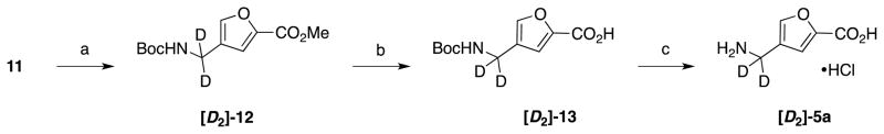 Scheme 6