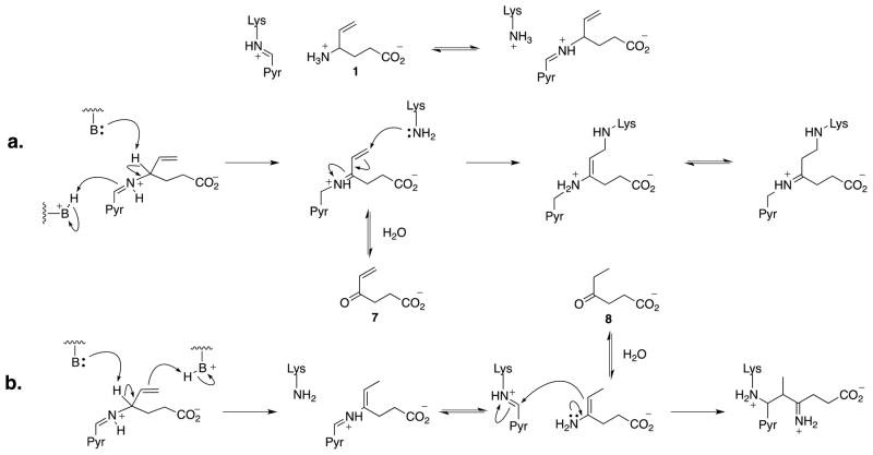 Scheme 2