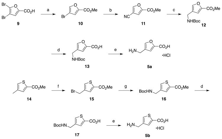 Scheme 3