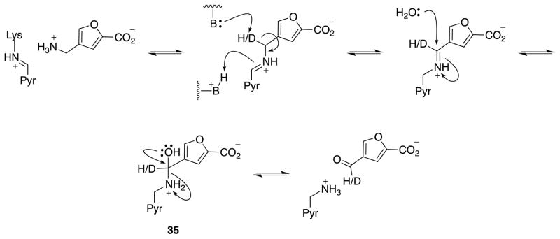 Scheme 7