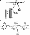 Figure 10.