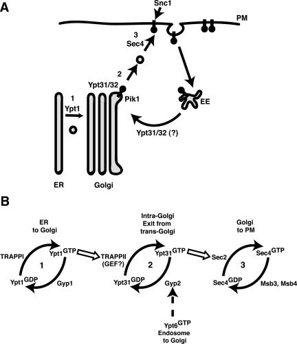 Figure 10.