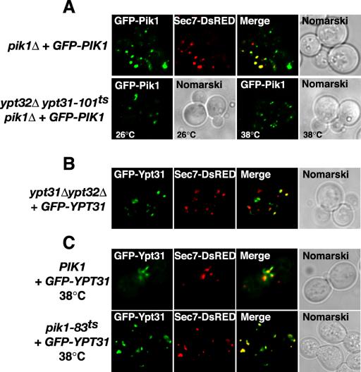 Figure 6.