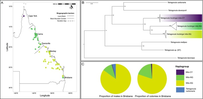 FIGURE 1