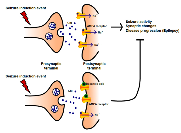 graphic file with name awv325fig1g.jpg