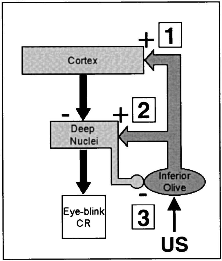 Fig. 9.