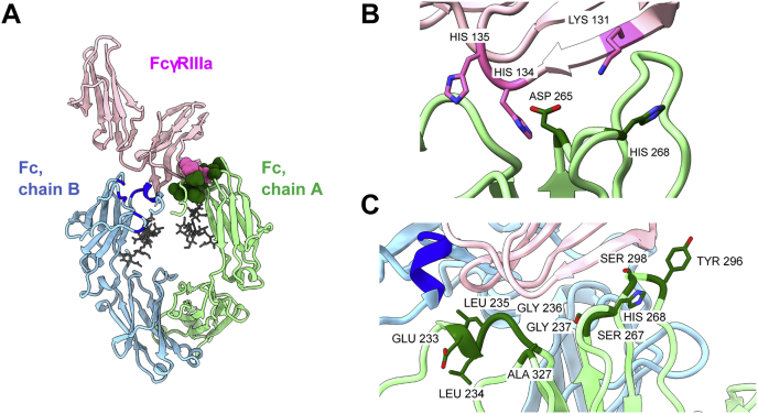 Figure 2