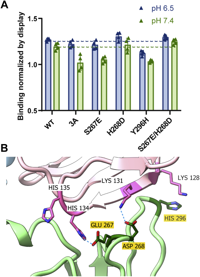 Figure 7