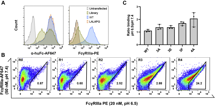 Figure 3