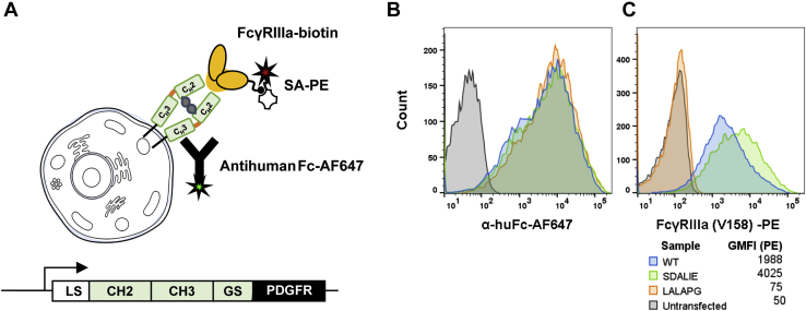 Figure 1