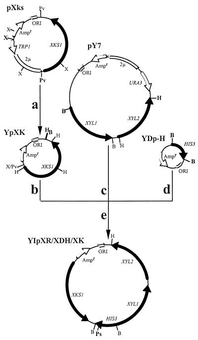 FIG. 1