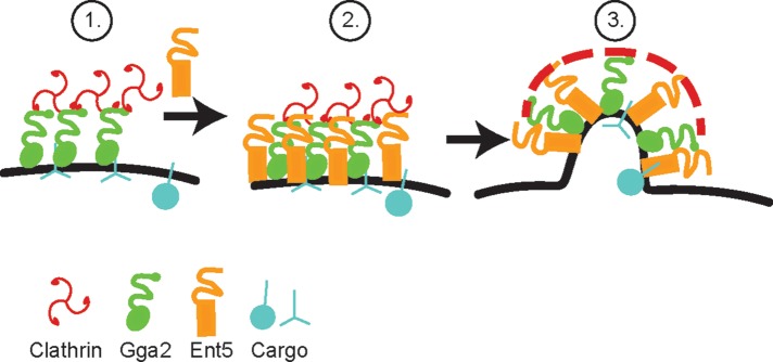 FIGURE 6: