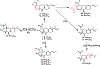 Scheme 7