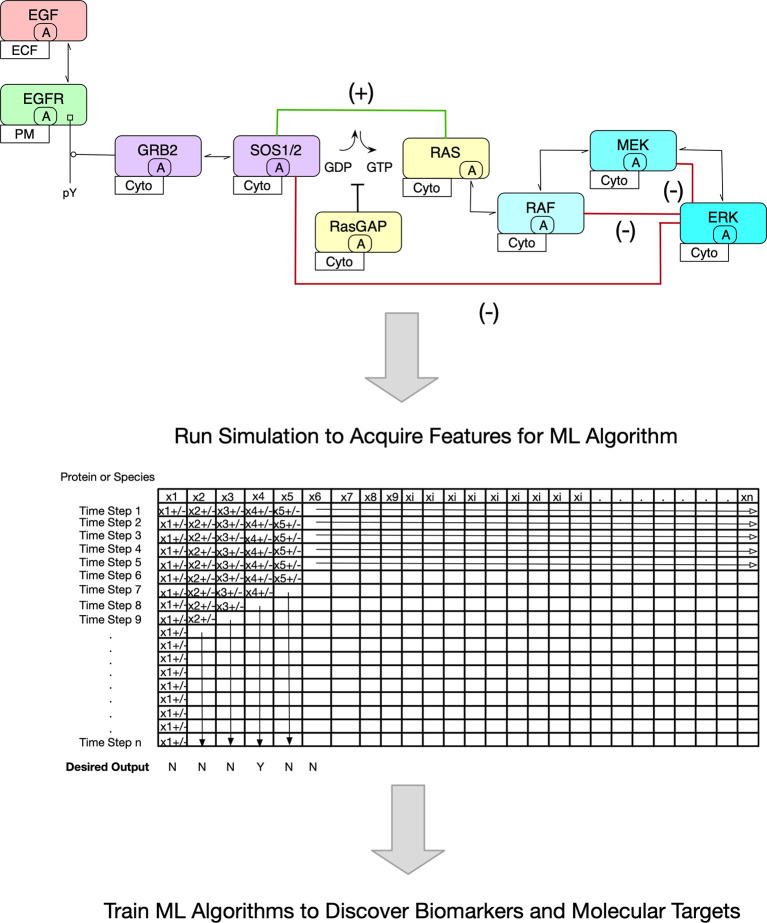 Figure 1