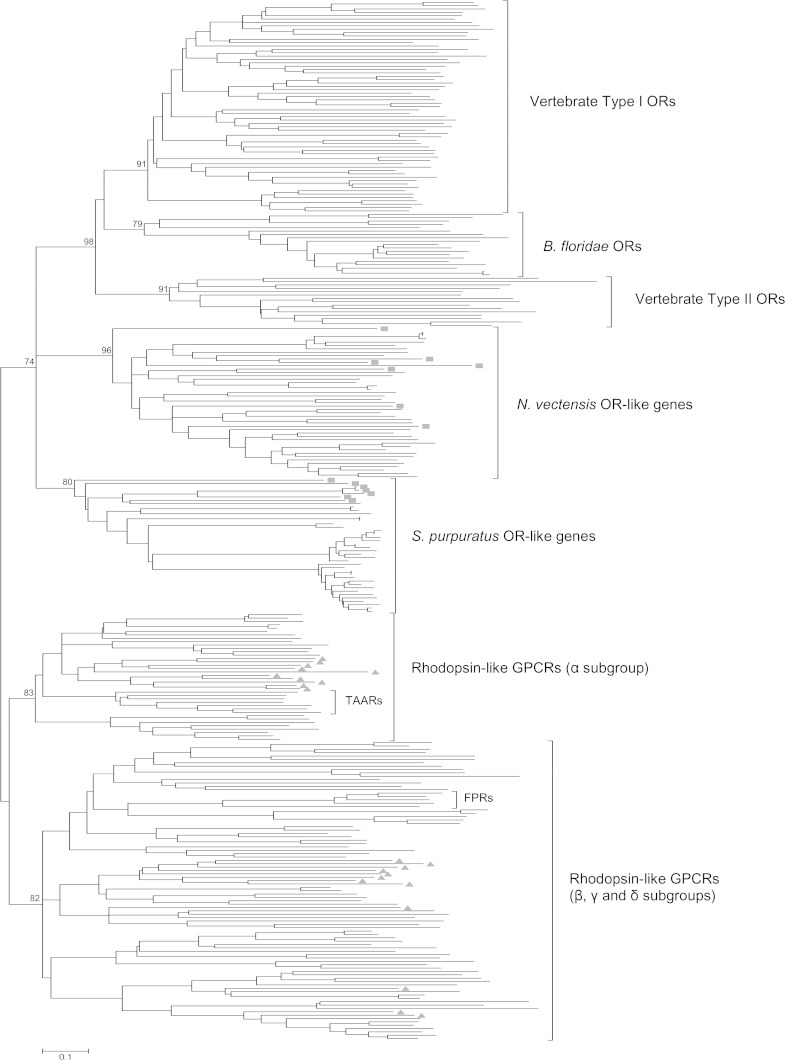 FIG. 1.—