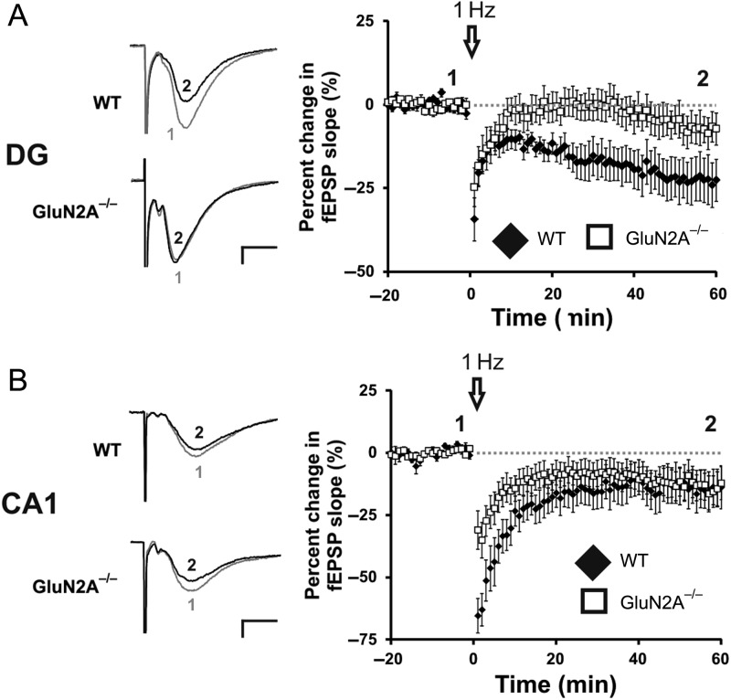 Figure 4.