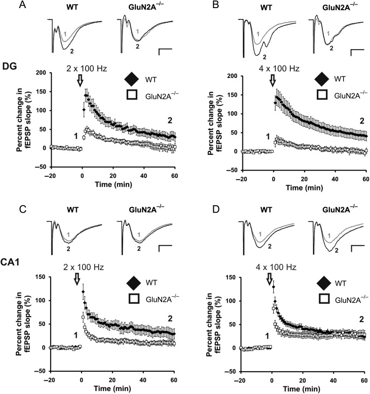 Figure 3.