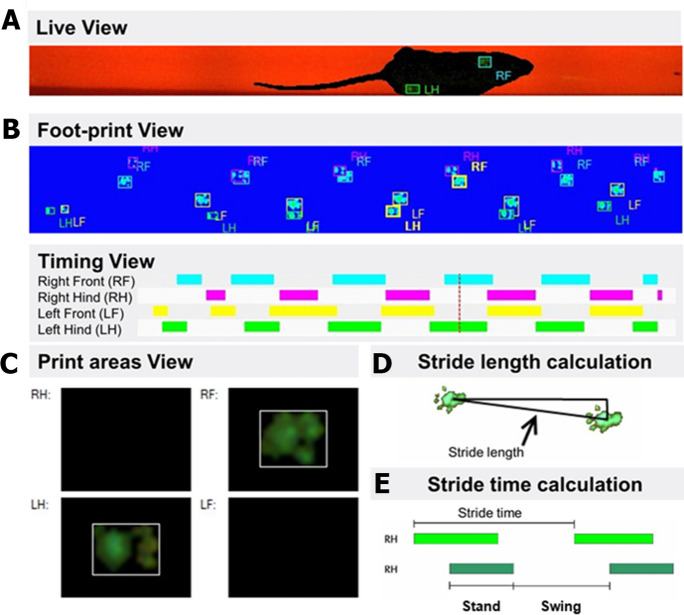 Fig. 3