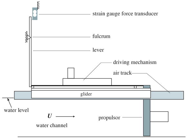 Fig. 1