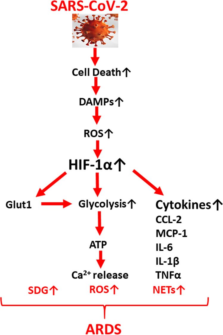 Fig. 3