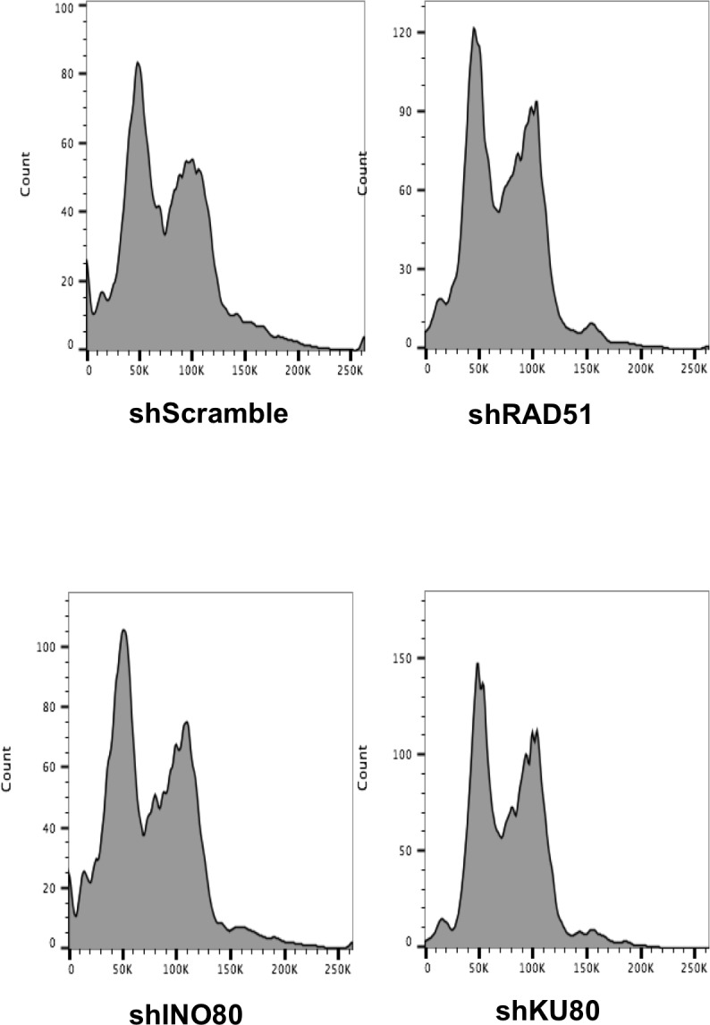 Figure 2—figure supplement 1.