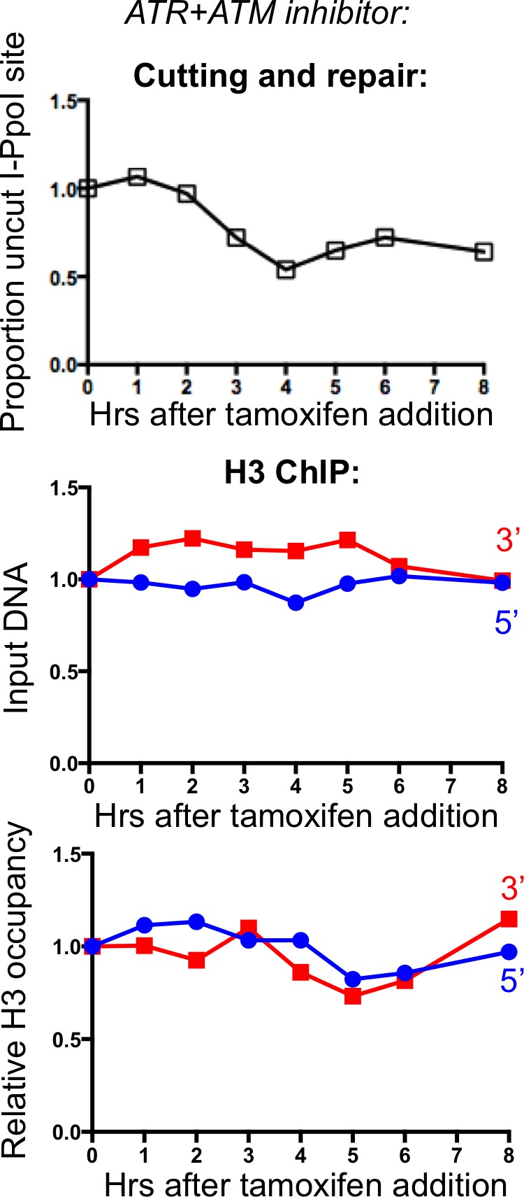 Figure 3—figure supplement 1.