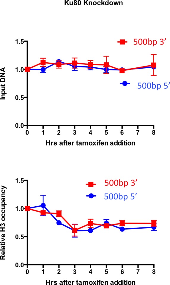 Figure 2—figure supplement 2.