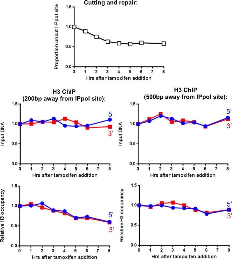 Figure 4—figure supplement 1.