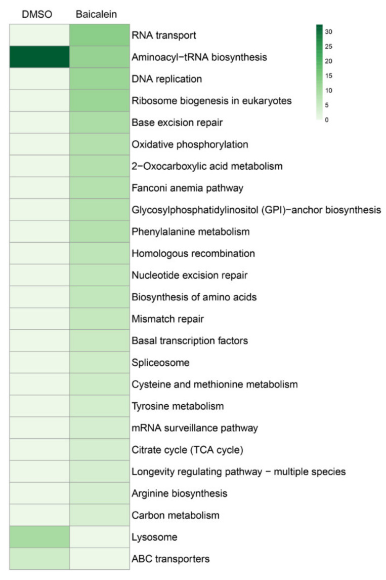 Figure 7