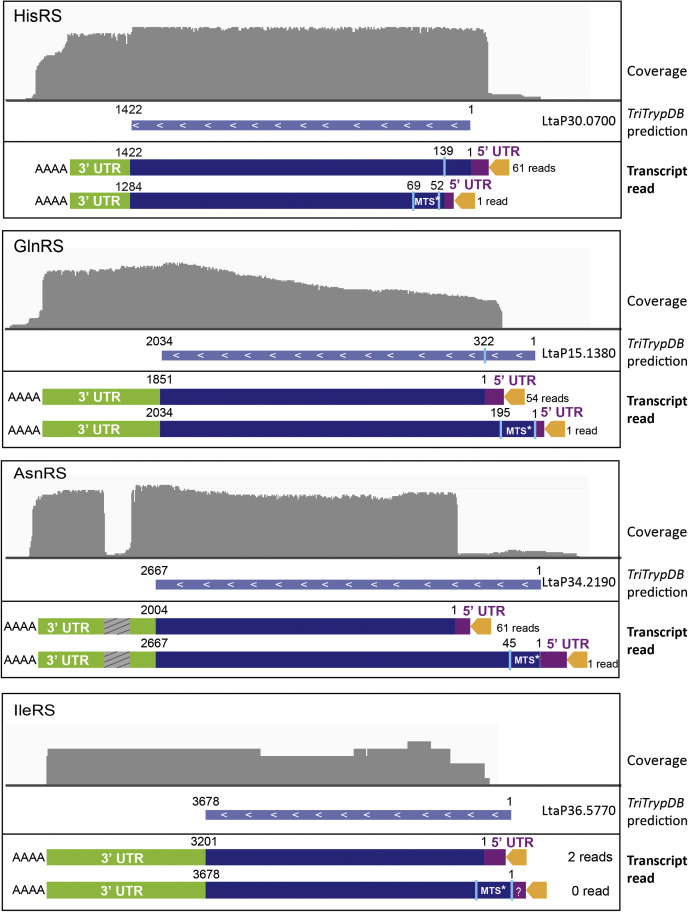 Figure 6