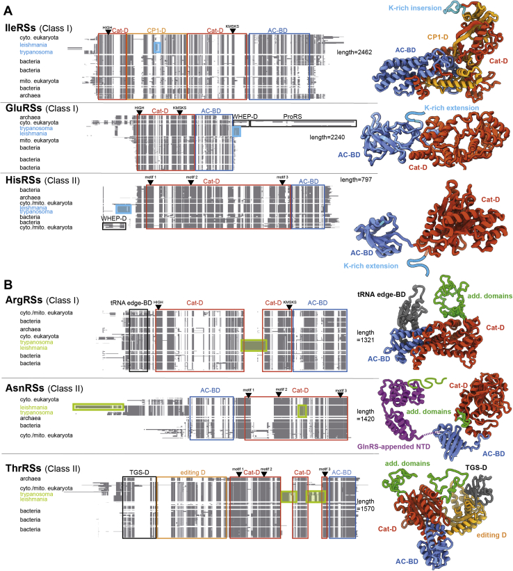 Figure 3