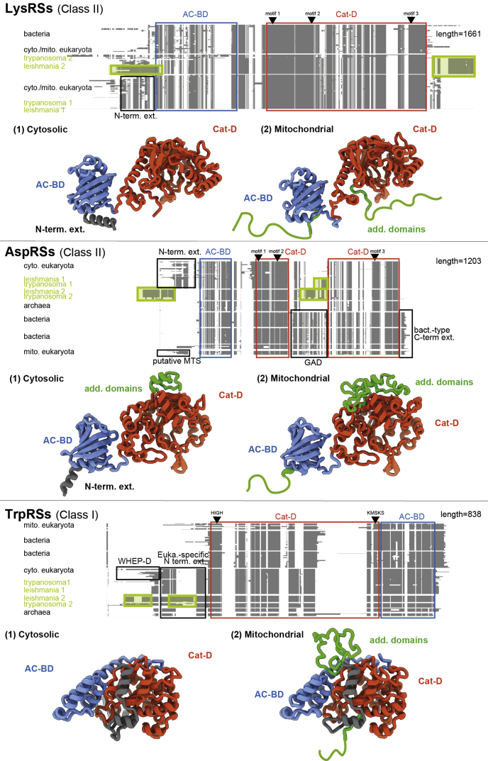 Figure 4