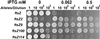 FIG. 5